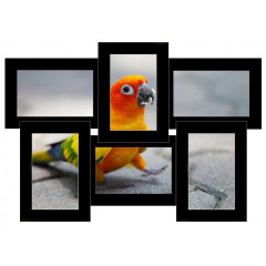 Шестерка-3 деревянная мультирамка