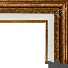 F5539-2143 пластиковая рамка 50-60