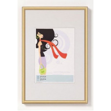 KV080G пластиковая рамка 60х80