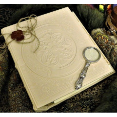 020-08-43 кожаный альбом Ренессанс