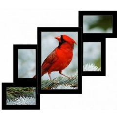 Лесенка 5-3 деревянная мультирамка чёрная