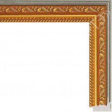 17.3A пластиковая рамка 50-70