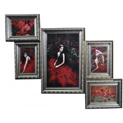 Лесенка 5-5 пластиковая мультирамка серебро