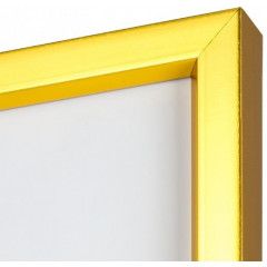 MR-44 пластиковая рамка 40-50 