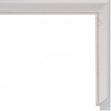 AR-59 пластиковая рамка 30-90