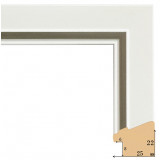 F-21 пластиковая рамка 50-50