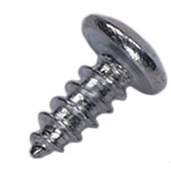 Шурупы 4 х10 мм, ~ 100 шт. Ш.0410-100