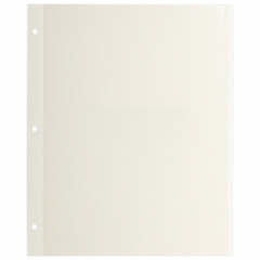 Листы для альбома магнитные 23-28 см, 10 шт, Brauberg