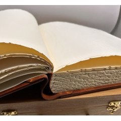 Aligator люкс кожаный фотоальбом в кейсе