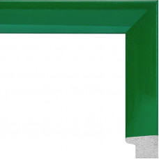 AR-28 пластиковая рамка 50-70