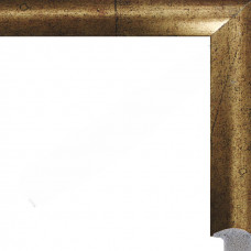 AR-92 пластиковая рамка 50-70