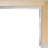 AR-67 пластиковая рамка А1