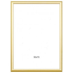 MR-15 пластиковая рамка 50-70