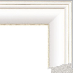 DL-53008 пластиковая рамка 80-110