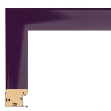 F-12 пластиковая рамка 50-50