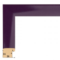 F-12 пластиковая рамка 50-50