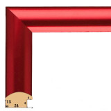 F-15 пластиковая рамка 50-50