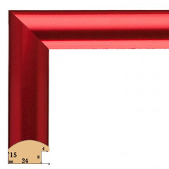 F-15 пластиковая рамка 50-50