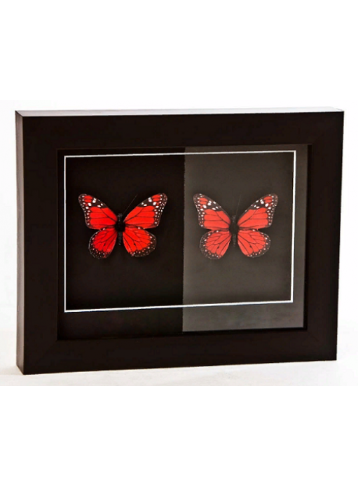 Музейное стекло приминение и отличие от других видов стекол